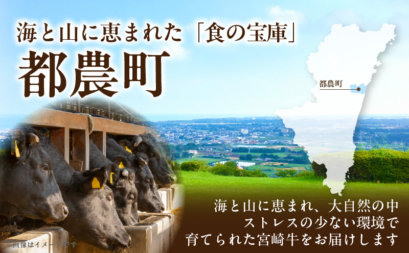 宮崎牛サーロインステーキ(計400g) 肉 牛 牛肉 国産_T050-0015