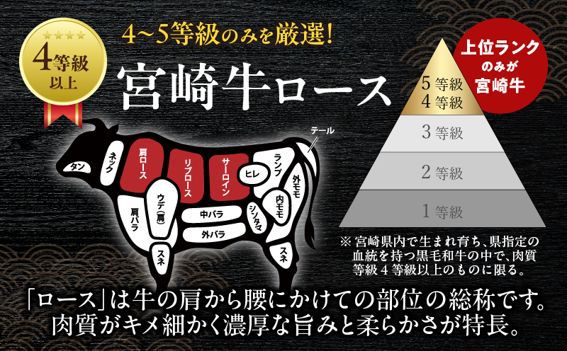 宮崎牛サーロインステーキ(計400g) 肉 牛 牛肉 国産_T050-0015