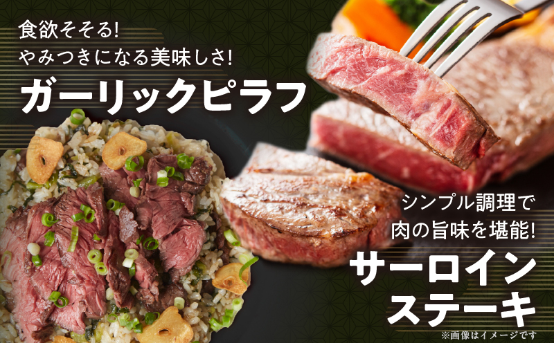 宮崎牛サーロインステーキ(計400g) 肉 牛 牛肉 国産_T050-0015