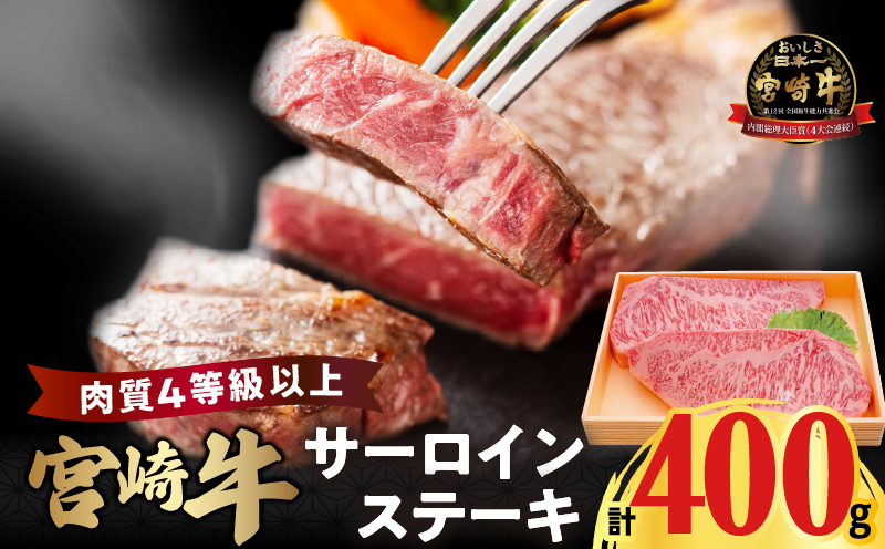 宮崎牛サーロインステーキ(計400g) 肉 牛 牛肉 国産_T050-0011