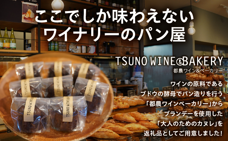 TSUNOWINE＆BAKERY カヌレ6個セット パン 菓子 トースト 国産_T053-0035