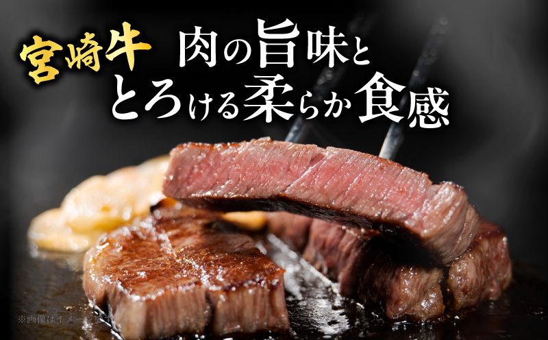 宮崎牛サーロインステーキ(計800g) 肉 牛 牛肉 国産_T050-0025