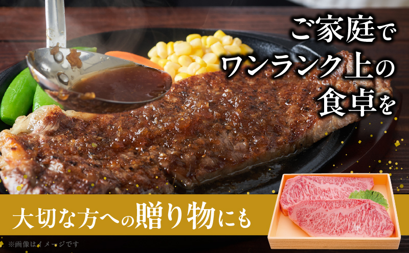 宮崎牛サーロインステーキ(計400g) 肉 牛 牛肉 国産_T050-0015