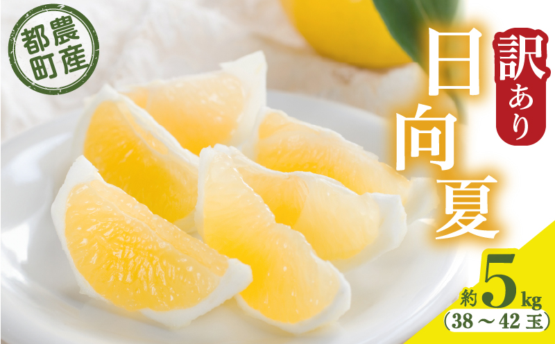 ≪先行予約≫都農町産「訳あり日向夏(約5kg)」 フルーツ 果物 柑橘 国産_T008-004