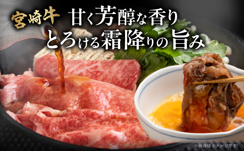 宮崎牛ローススライス(計400g) 肉 牛 牛肉 国産_T050-0055