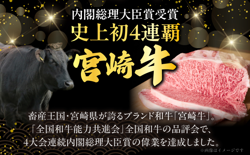宮崎牛ローススライス(計800g) 肉 牛 牛肉 国産_T050-0065
