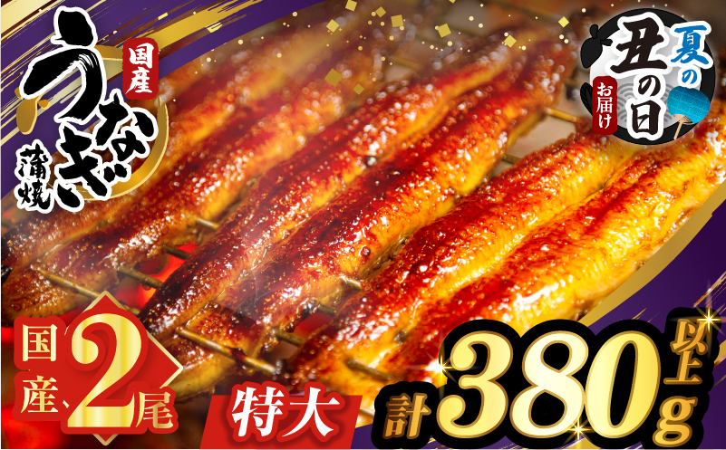 【夏の丑の日までにお届け!!】うなぎ蒲焼特大2尾(さんしょう・たれ付き)計380g以上 鰻 魚 魚介 加工品 国産_T026-0061-US2