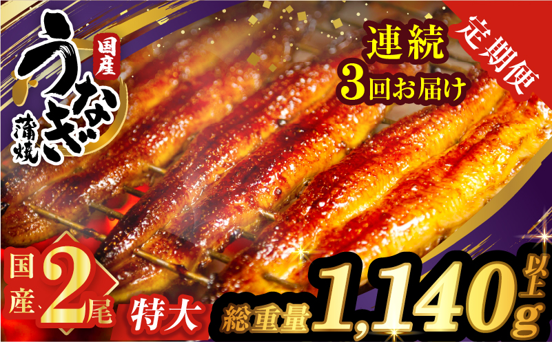 【3回連続定期便】うなぎ蒲焼特大2尾(さんしょう・たれ付き)総重量1140g以上 鰻 魚 魚介 加工品 国産_T026-0061-R