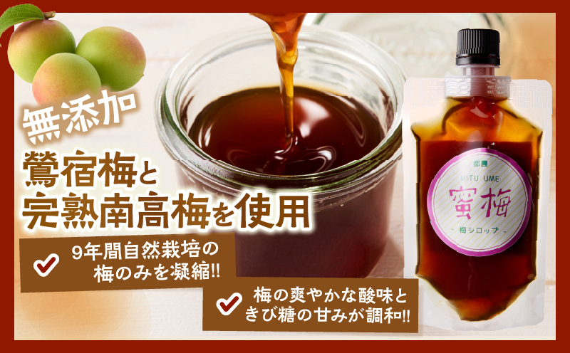 ≪先行予約≫＼ポスト投函／都農町産 蜜梅シロップ(計1本) 梅 加工品 国産_T024-014