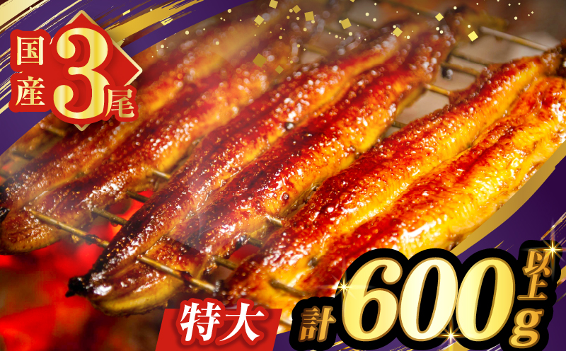 うなぎ蒲焼3尾(さんしょう・たれ付き)計600g以上 鰻 魚 魚介 加工品 国産_T026-0146