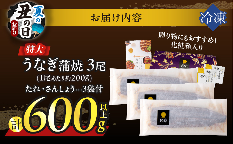 【夏の丑の日までにお届け!!】うなぎ蒲焼3尾(さんしょう・たれ付き)計600g以上 鰻 魚 魚介 加工品 国産_T026-0146-US2