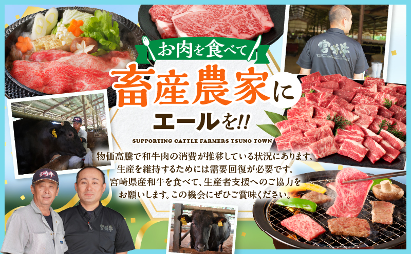【畜産農家応援!!】≪肉質等級4等級以上≫黒毛和牛赤身焼肉(計2kg) 肉 牛 牛肉 国産_T030-0956