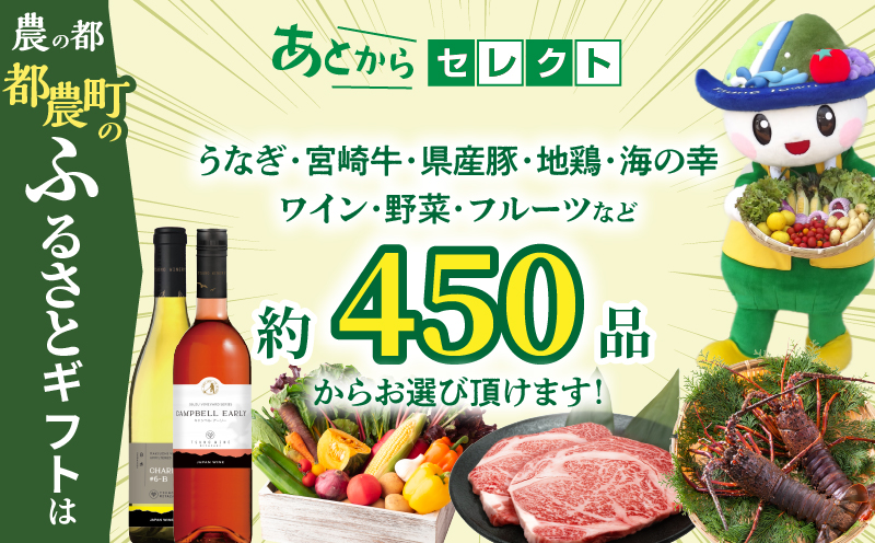 ≪期限1年間≫あとからセレクト 40万円コース【ふるさとギフト】 あとから選べる カタログ ギフト 鰻 肉 ワイン 都農町_T998-022