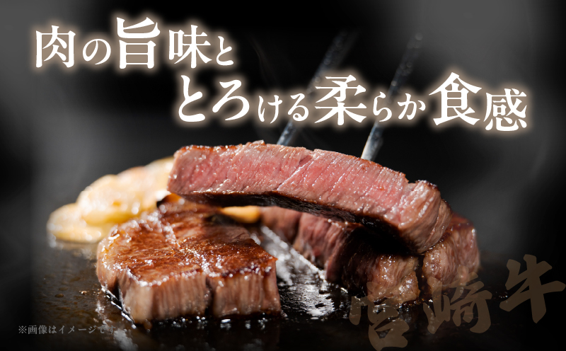 宮崎牛サーロインステーキ(計400g) 肉 牛 牛肉 国産_T050-001