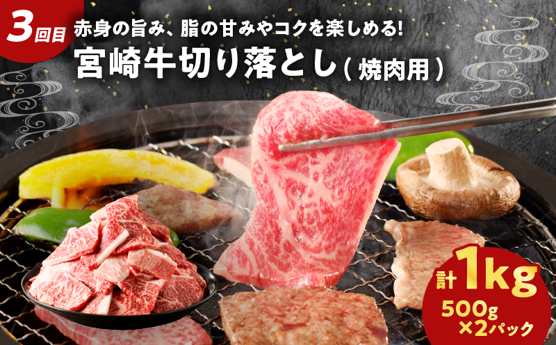 ≪3か月お楽しみ定期便≫宮崎県産牛＆豚の満腹セット(総重量3.5kg) 肉 牛 牛肉 豚肉 おかず 国産_T030-062