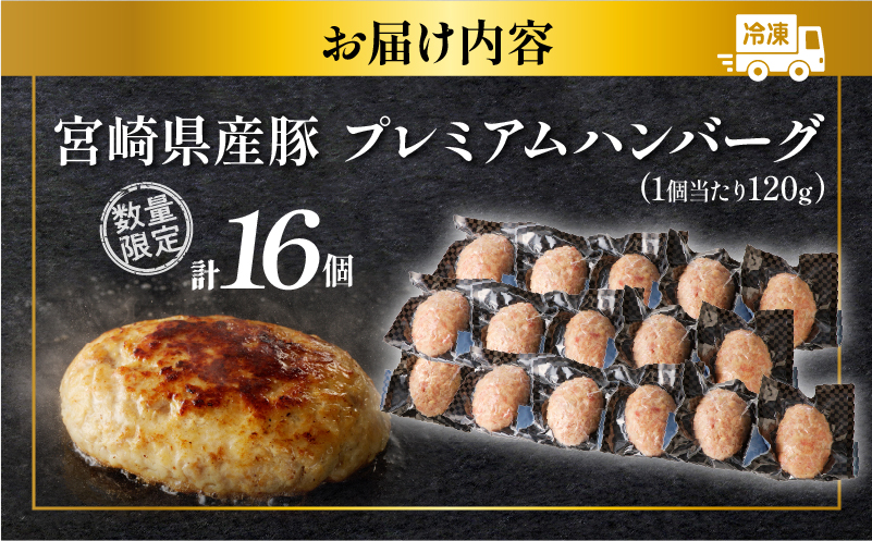  ≪年末年始限定≫宮崎県産豚プレミアムハンバーグ(計16個) 肉 豚肉 加工品 惣菜 国産_T001-011-ZO2