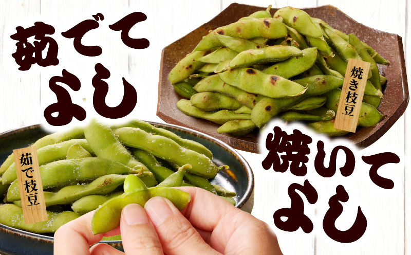 先行予約≪期間限定≫枝豆(茶豆風味・茶豆)計1.25kg お試し用 野菜 旬 国産_T003-005