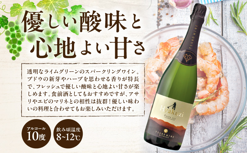 【数量限定】Hyakuzi エクストラセック カーボネイティッド(計1本) 酒 飲料 アルコール 国産_T014-007