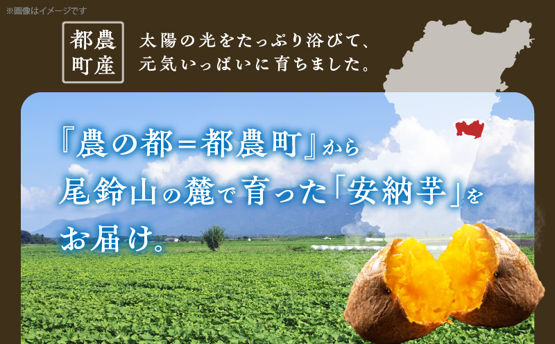 ≪期間限定≫都農町産安納芋(計10kg) 野菜 芋 イモ 国産_T016-002