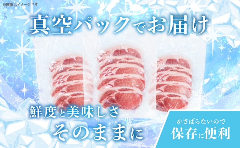 ≪宮崎ブランドポーク≫ロース(トンテキ・とんかつ用)計1kg 肉 豚 　豚肉 国産_T023-011