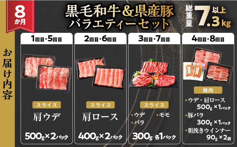 ≪8か月定期便≫黒毛和牛＆県産豚バラエティーセット(総重量7.3kg以上) 肉 牛 牛肉 おかず 国産_T030-070