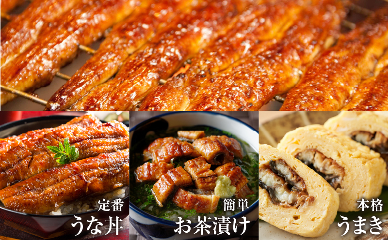 ≪定期便全3回≫4月・5月・6月お届け!!うなぎ蒲焼 特大2尾 (総重量1.14kg以上) 鰻 魚 魚介 加工品 国産_T026-007