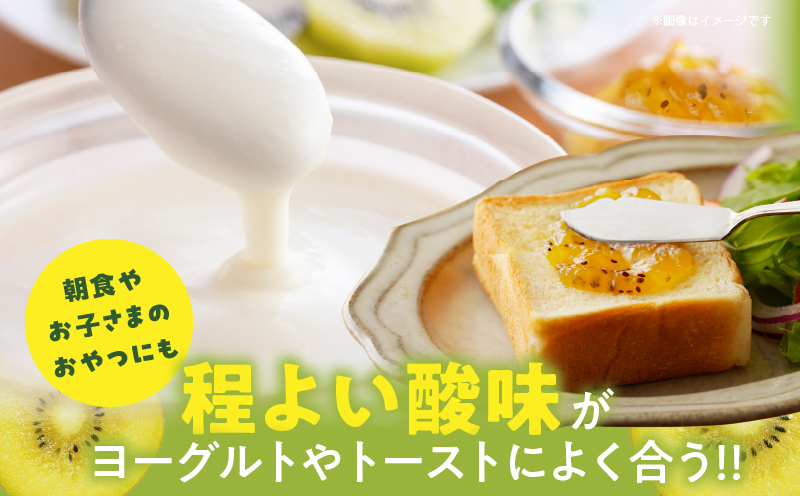 TSUNO JAMゴールドキウイ(計1個) 加工食品 フルーツ 果物  国産_T043-0041