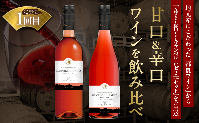 ≪定期便≫＼1か月に2回お届け!!／都農ワイン×うなぎ蒲焼★最強コンビ 酒 飲料 鰻 魚介 国産_T999-0031