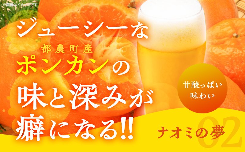 都農クラフトビール詰め合わせ6本セット 酒 アルコール 飲料 国産_T016-003 