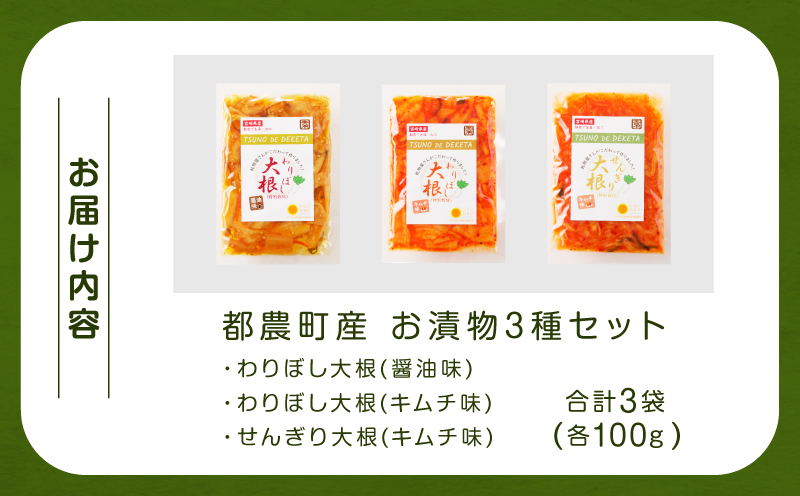 【2週間以内発送】＼ポスト投函／≪都農町産≫お漬物3種セット(合計3袋) 野菜 加工品 国産_T003-018