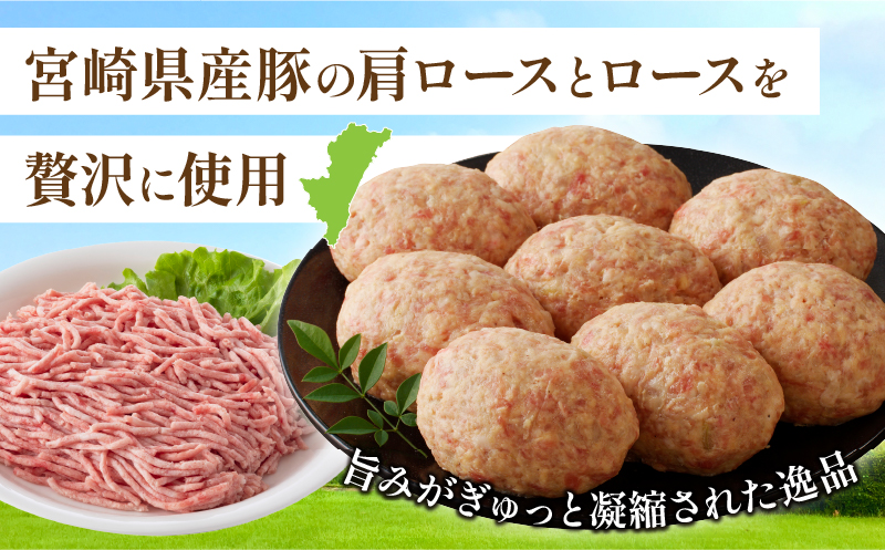 宮崎県産豚プレミアムハンバーグ(計15個) 肉 豚肉 加工品 惣菜 国産_T001-011