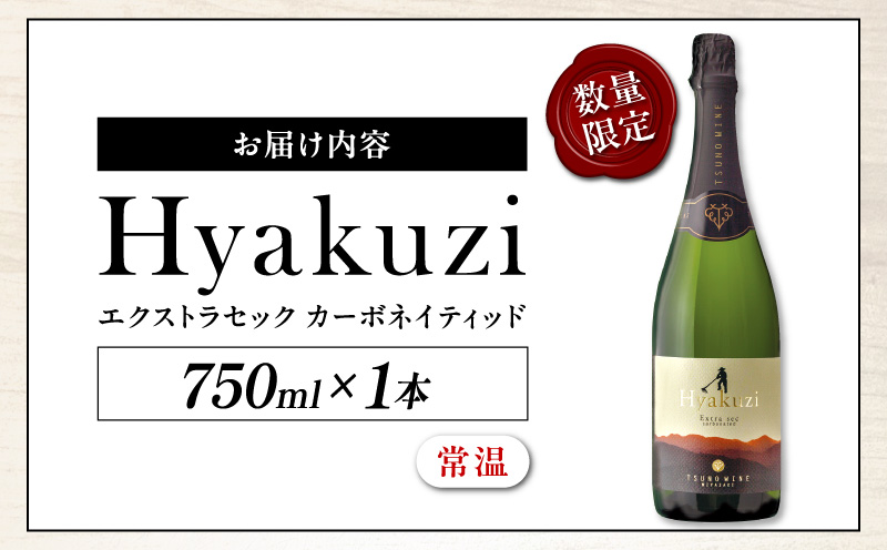 【数量限定】Hyakuzi エクストラセック カーボネイティッド(計1本) 酒 飲料 アルコール 国産_T014-007