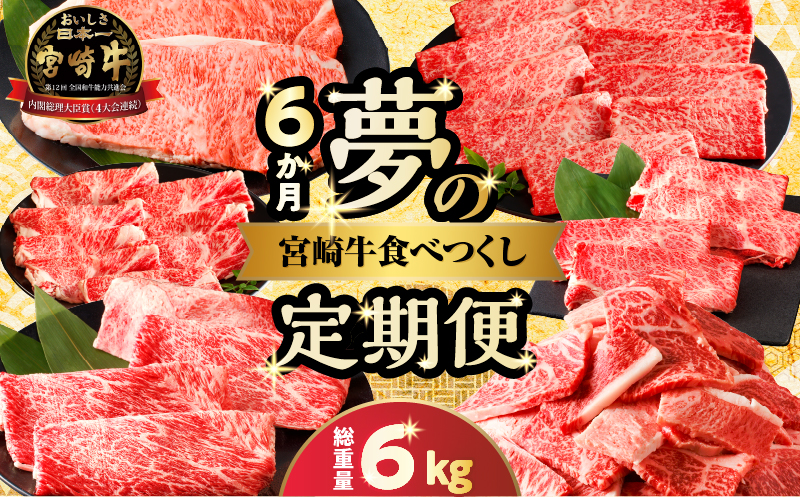 ≪6か月定期便≫夢の宮崎牛食べつくしセット(総重量6kg) 肉 牛 牛肉 おかず 国産_T030-068