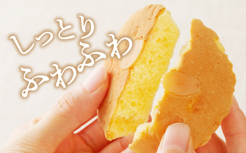 【2週間以内発送】老舗菓子舗のマドレーヌ 「計3個・個包装」 焼き菓子 スイーツ 詰め合わせ 洋菓子_T035-010