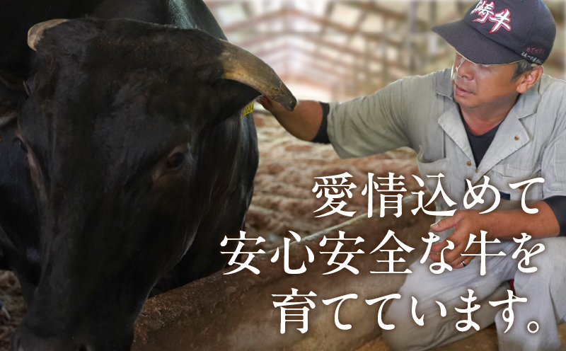 宮崎牛ロース(焼肉用)計800g 肉 牛 牛肉 国産_T050-004