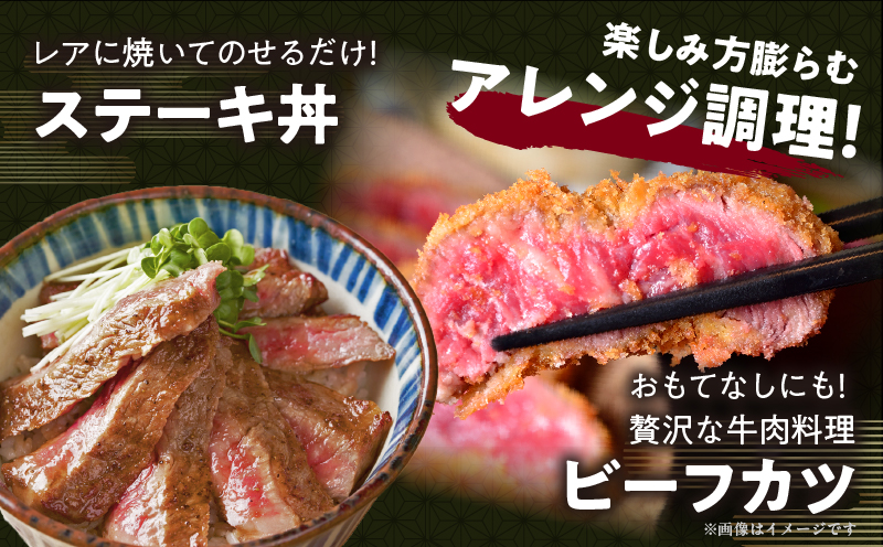 宮崎牛サーロインステーキ(計400g) 肉 牛 牛肉 国産_T050-001