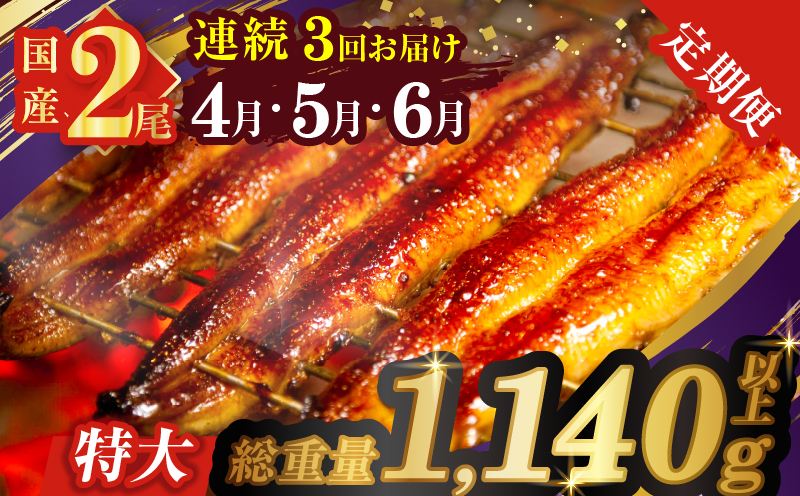 ≪定期便全3回≫4月・5月・6月お届け!!うなぎ蒲焼 特大2尾 (総重量1.14kg以上) 鰻 魚 魚介 加工品 国産_T026-007