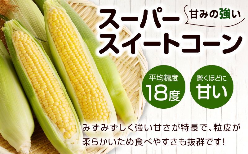 先行予約≪期間限定≫スーパースイートコーン(約2kg)お試し用 とうもろこし 野菜 国産_T003-003