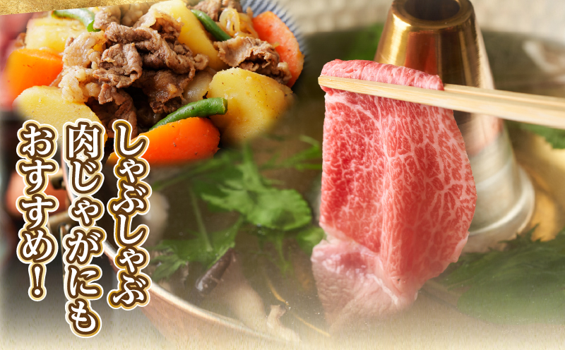 「宮崎牛肩(ウデ)すき焼き用」計500g 肉 牛 牛肉 おかず 国産_T009-014