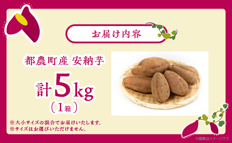 ≪期間限定≫都農町産安納芋(計5kg) 野菜 芋 イモ 国産_T016-001