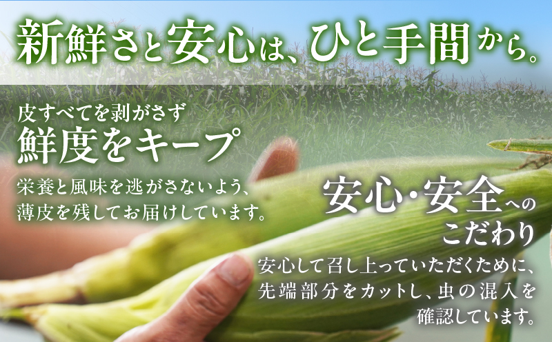 先行予約≪期間限定≫スーパースイートコーン(約4.5kg) とうもろこし 野菜 国産_T003-004