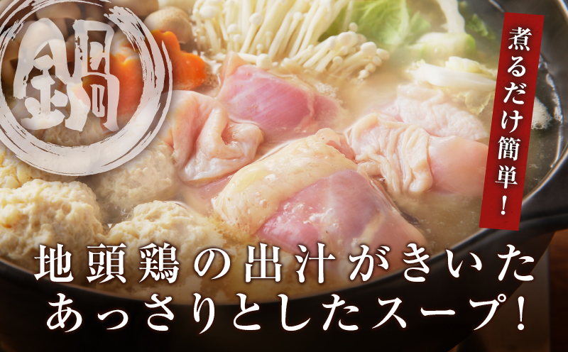 みやざき郷土料理セット(合計2.2kg以上) 肉 鶏 鶏肉 鍋 国産_T017-004