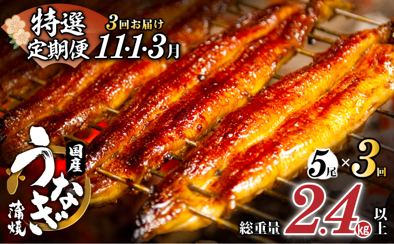 先行予約≪定期便全3回≫11月・1月・3月お届け!!うなぎ蒲焼5尾(総重量2.4kg以上) 鰻 魚 魚介 加工品 国産_T026-0052