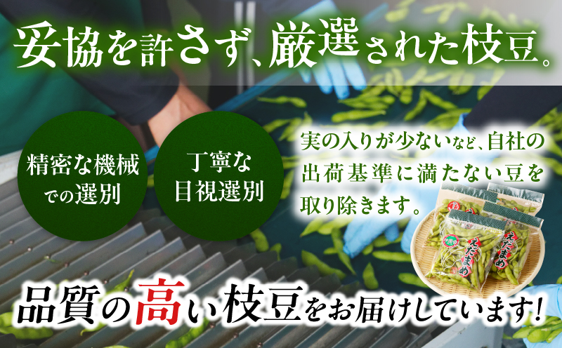 先行予約≪期間限定≫枝豆(茶豆風味・茶豆)計1.25kg お試し用 野菜 旬 国産_T003-005