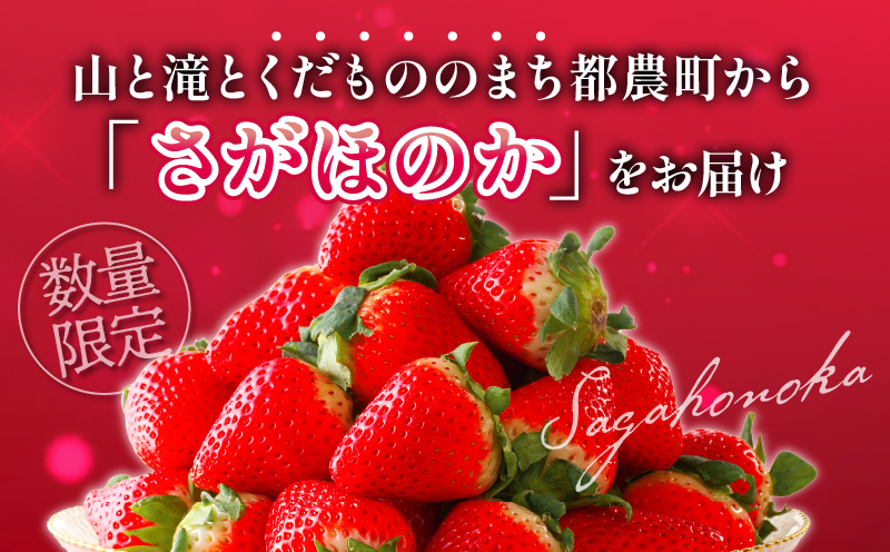 先行予約≪数量限定≫都農町産いちご「さがほのか」計1kg フルーツ 果物 デザート イチゴ 国産_T015-001