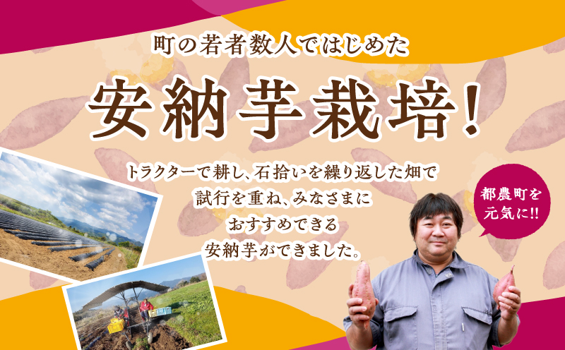 ≪期間限定≫都農町産安納芋(計5kg) 野菜 芋 イモ 国産_T016-001