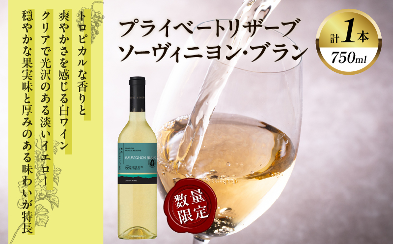 【数量限定】プライベートリザーブ ソーヴィニヨン・ブラン(計1本) 酒 飲料 アルコール 国産_T014-013