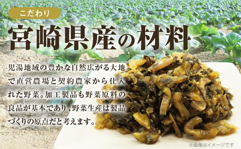 ＼ポスト投函／旨ごま高菜(150g) 漬物 おかず 野菜 加工品 国産_T025-010