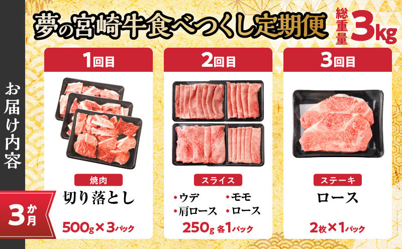 ≪3か月定期便≫夢の宮崎牛食べつくしセット(総重量3kg) 肉 牛 牛肉 おかず 国産_T030-067