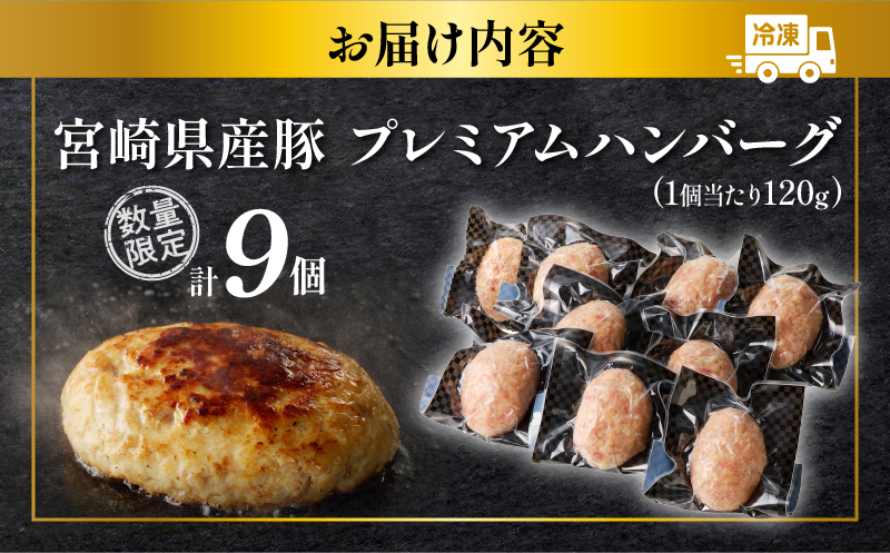  ≪年末年始限定≫宮崎県産豚プレミアムハンバーグ(計9個) 肉 豚肉 加工品 惣菜 国産_T001-009-ZO2